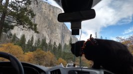 IMG_20171029_161307923_HDR.jpg