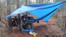 20180226_070344.jpg