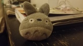20180317_215222.jpg
