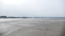 10562977_10152147852692371_338046426522677354_n.jpg