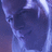 7062.gif