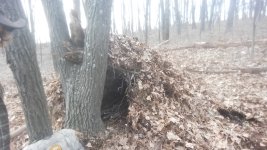 20180408_153447.jpg