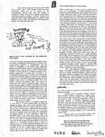 cheeta post-page-002.jpg