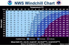 52c99d14ecad0473444f26d2-750.gif