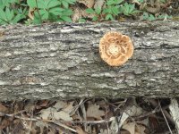 20180514_094314.jpg