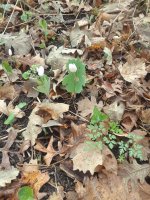 20180509_102459.jpg