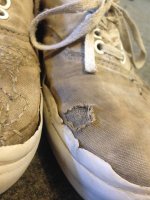 IMG_1992.jpg