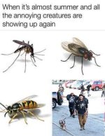 FB_IMG_1528151419386.jpg