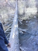 27170294-DAAF-4753-A223-8E2817C9206F.jpeg