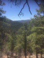 C594E595-41CA-41F2-B099-5B2D4B865572.jpeg