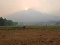 20180610_073721.jpg