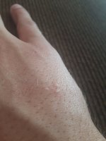 20180715_123633.jpg