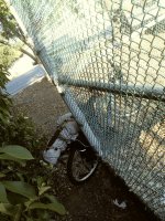 20180716_183640_Film2.jpg