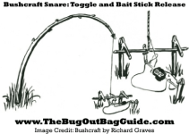 Bushcraft-Skills.png