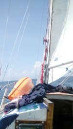 IMG_20180814_131318.jpg