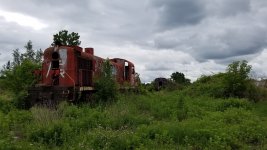 20180606_105054.jpg