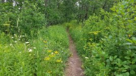20180716_140122.jpg