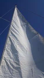 20180906_105930.jpg
