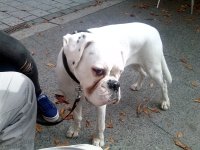 IMG_20170928_154926.jpg