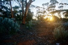 sunriseoutback.jpg