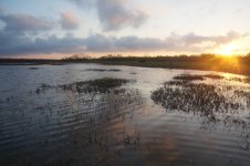 sunriseeverglades.jpg
