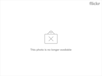 6285366169_a8113413c0_z.png