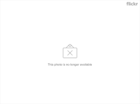 6522440567_5ecbd4a920_z.png