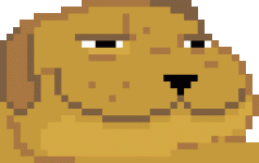 Deal_with_it_dog_gif.gif