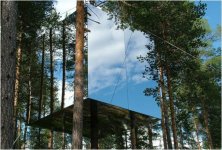 tree_hotel_sweden-560x379.jpg