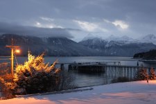 IMG_2347.jpg