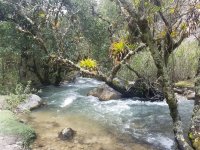 20181104_105104.jpg