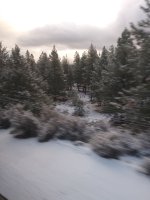 20181129_075856_HDR.jpg