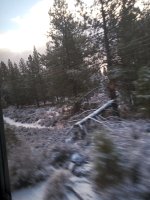 20181129_075950_HDR.jpg