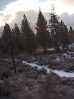 20181129_075952.jpg