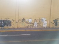 20181201_144031.jpg