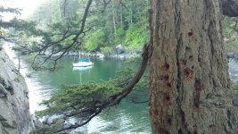 Lummi2.jpg