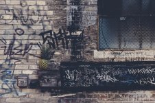 pineapple-supply-co-108850-unsplash.jpg