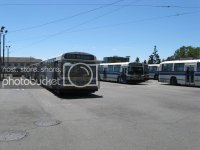 IMG_0990.jpg
