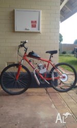 80cc_motorised_push_bike_21027663.jpg