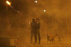 riot-dog-2008-2.jpg