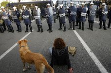 riot-dog-2008.jpg