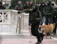 dog-riot-2.jpg