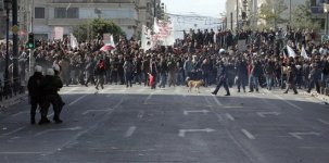 11marchdog.jpg