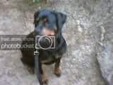 thPhoto001-1.jpg