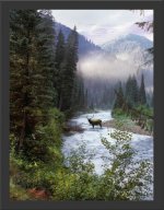 elk_selway1.jpg