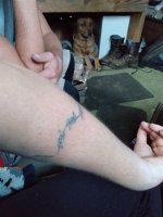 IMG_20191225_161228191.jpg