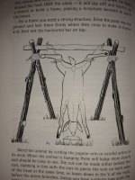 diagram from sas handbook.jpg