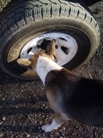 IMG_20200205_082225017.jpg