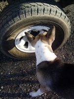 IMG_20200205_082227166.jpg