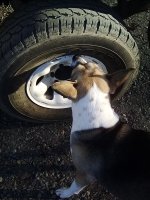 IMG_20200205_082229406.jpg